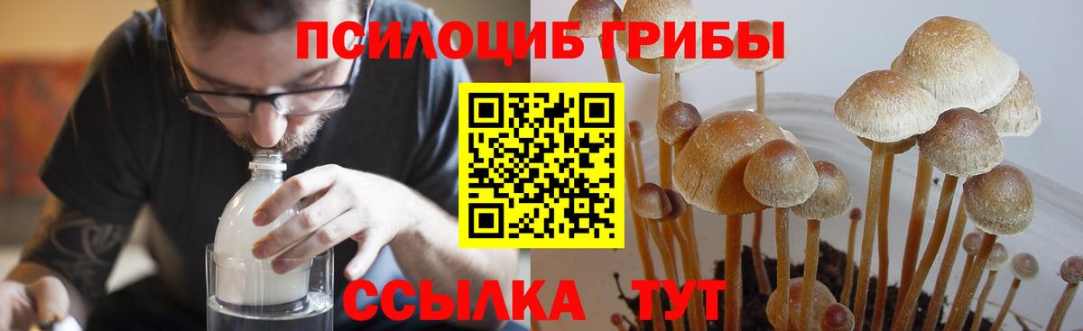 Белгород  Псилоцибиновые грибы Magic Shrooms  Вход с VPN 